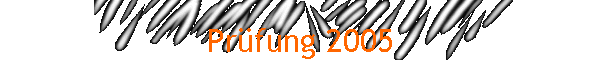Prfung 2005