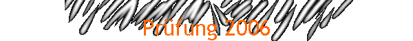 Prfung 2006