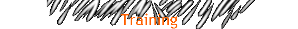 Training