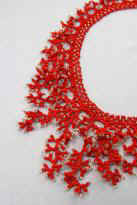 Coralling Technique, Set "Goldfisch" von Varvara