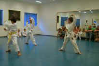 die "Mittelgroen" zeigen ein Kata