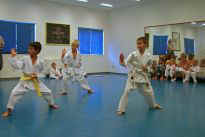 die "Mittelgroen" zeigen ein Kata