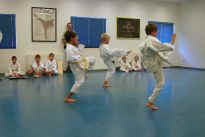 die "Mittelgroen" zeigen ein Kata