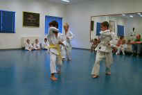 die "Mittelgroen" zeigen ein Kata