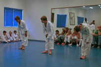 die "Groen" zeigen ein Kata