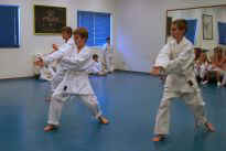 die "Groen" zeigen ein Kata