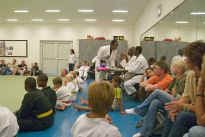 Trainer, Prfer und Publikum