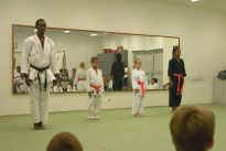 Prfung zum grnen Grtel