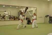 Prfung zum grnen Grtel