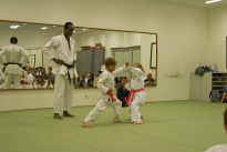 Prfung zum grnen Grtel