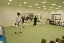 Prfung zum orangen Grtel