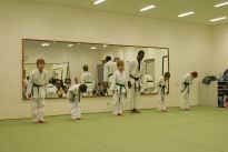 Prfung zum lila Grtel