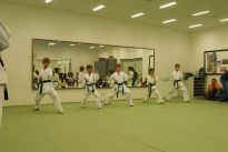 Prfung zum lila Grtel