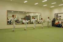 Prfung zum lila Grtel