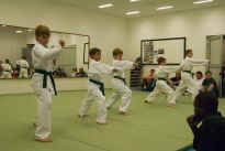 Prfung zum lila Grtel