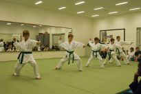 Prfung zum lila Grtel