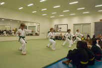 Prfung zum lila Grtel