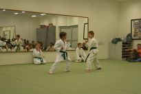 Prfung zum lila Grtel