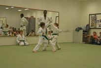 Prfung zum lila Grtel