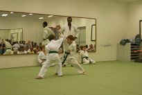 Prfung zum lila Grtel