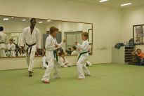 Prfung zum lila Grtel