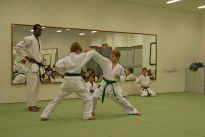 Prfung zum lila Grtel