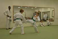 Prfung zum lila Grtel