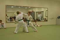 Prfung zum lila Grtel