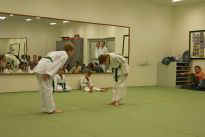 Prfung zum lila Grtel