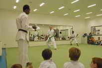 Prfung zum blauen Grtel