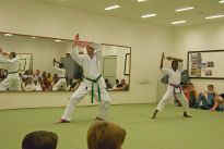 Prfung zum blauen Grtel