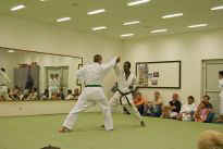 Prfung zum blauen Grtel