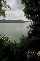 Singapore Zoo - Trinkwasser Reservoir