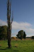 Andreas Farm in Val - Aussicht