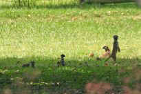 Andreas Farm in Val - Erdmnnchen zu Besuch